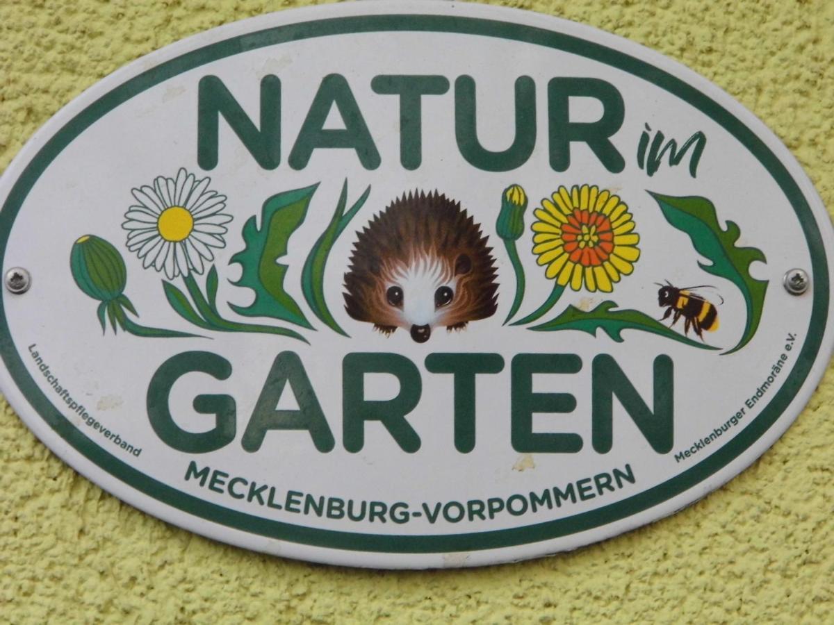 Ferienwohnung Seerose Neppermin Esterno foto